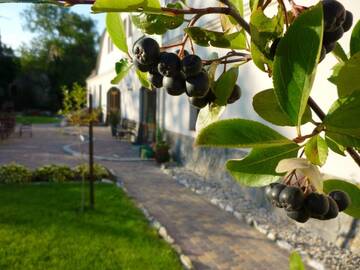Фотографии Фермерские дома Aronia Park г. Lubiechowa (Польша) №1 Фото Фермерские дома Aronia Park г. Lubiechowa 1